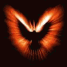 Hawk_eye